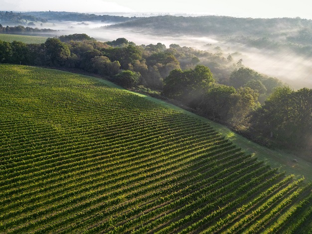 Leonardslee Family Vineyards